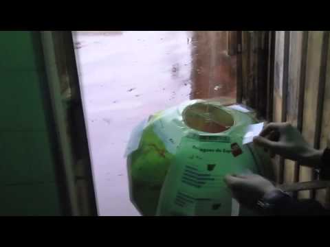 Como quemamos el mundo