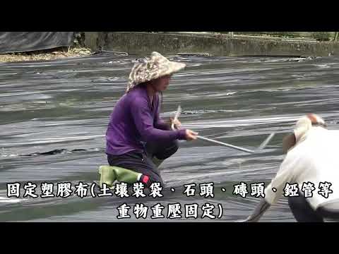 土壤消毒- 厭氧消毒法