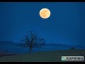 Sesame Street 1995 Lullaby Music