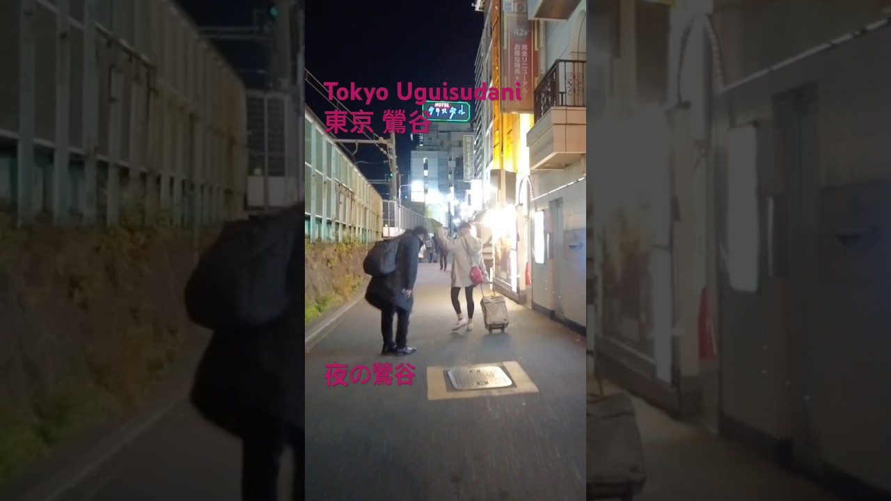 夜の鶯谷 #uguisudani