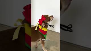 CHAVES - REMÉDIO DURO DE ENGOLIR - EPISÓDIO FINAL