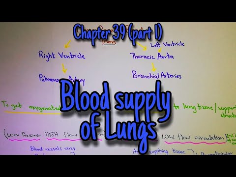 Blood supply of lungs. Chapter 39 (part 1). Guyton and hall text book of physiology.