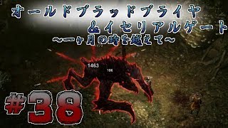 【実況】レア武器掘りがしたい二人の【GrimDawm】#38