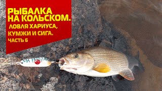 Ссылка