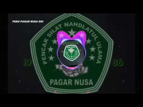 Sedulur Selawase - PAGAR NUSA NUSANTARA ( Official Music Video ) ( PSNU PAGAR NUSA OKI )