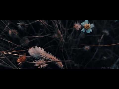 The dark nature-mobile videography| 1080p | 60FPS |