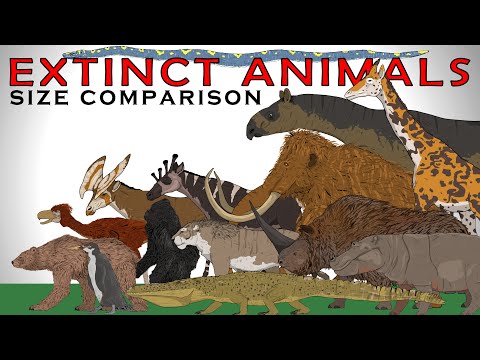 Random Extinct Animals Size Comparison Vol.1 (Smilodon, Woolly Mammoth, Titanoboa, Gigantopithecus)