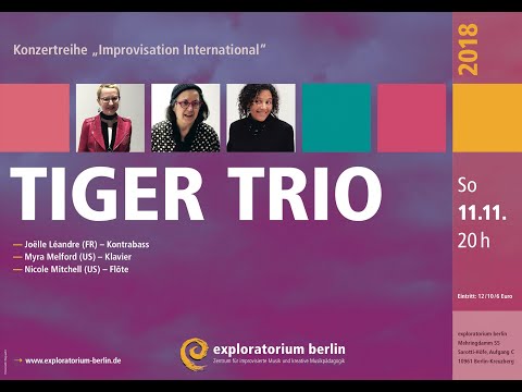 TIGER TRIO | exploratorium berlin