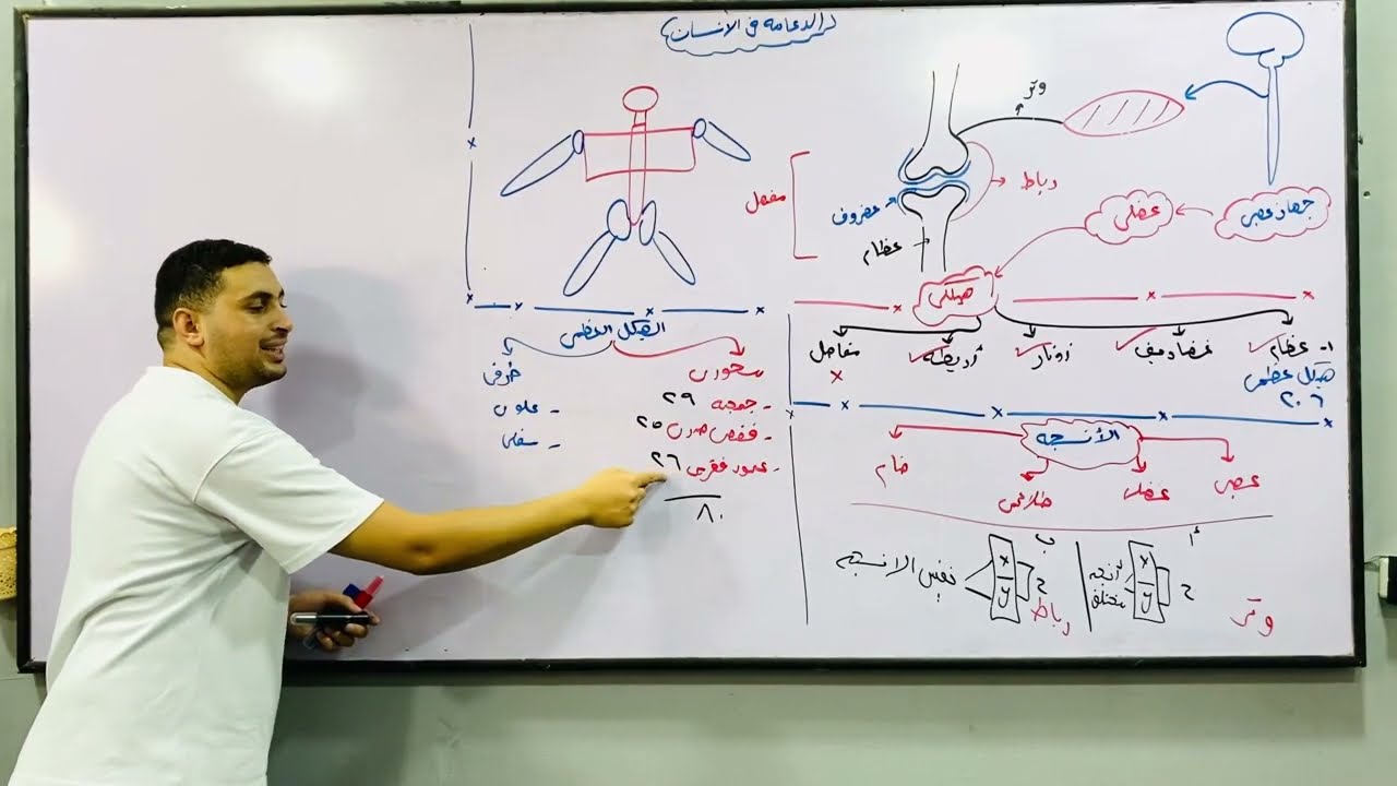 شرح السنتر|العمود الفقري بكل الافكار والتريكات احياء تالتة ثانوي 2027 الدعامة 