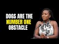 Ex Witch Exposes Why Your Dog Barks At Empty Corners Every Night