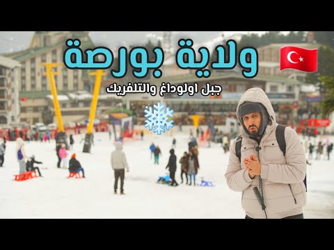 الفيديو