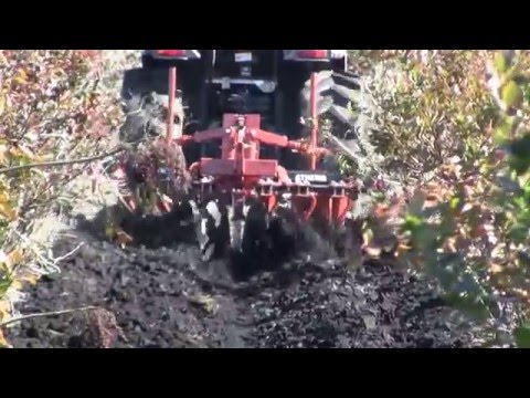 Athens Plow Model BBD5