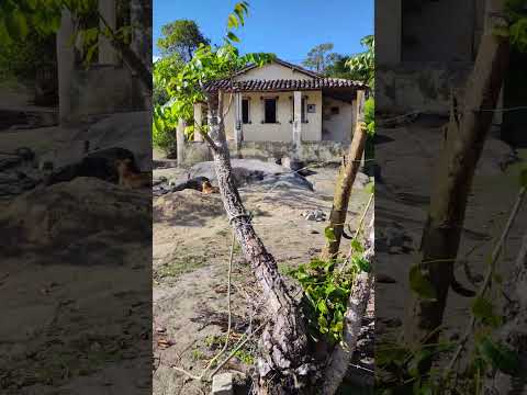 sítio à venda na zona rural de Belém de Maria PE 5 hectares