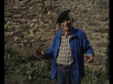 Lo filoset