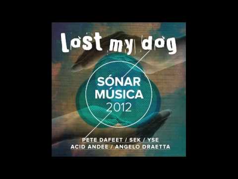 Acid Andee - Discopia