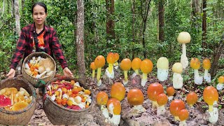 เข้าป่าเจอระโงกเหลือง!!ขาวทั้งตูมทั้งไข่ผึ้งเเดงขาลายผึ้งดำหมาน3ตะกร้าจ้า🍄3/6/68