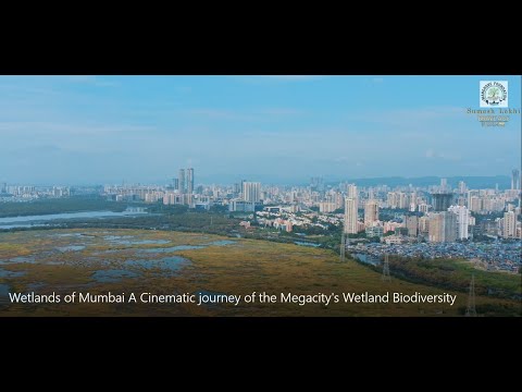 Wetlands of Mumbai: A Cinematic journey of the Megacity's Wetland Biodiversity