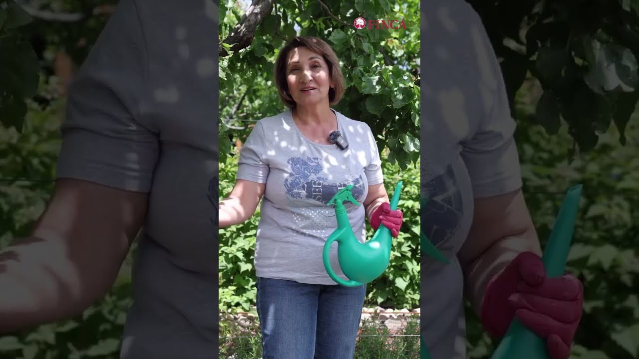 Սովորիր Քայլ առ Քայլ - մորմազգիներ