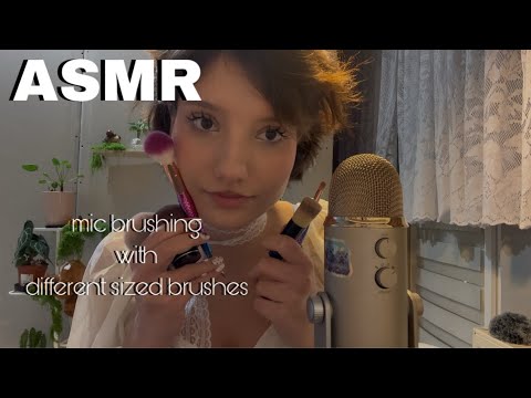 ASMR || Mic brushing with different sized brushes 🎤