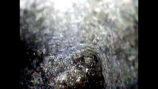 GRABACIÓN SHUNT 02; CAMINO VIEJO DE PINTO, 19