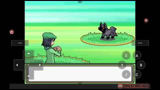 Download lagu Blind play Littleroot Researchers part 1 mp3 Download lagu Blind play Littleroot Researchers part 1 mp3