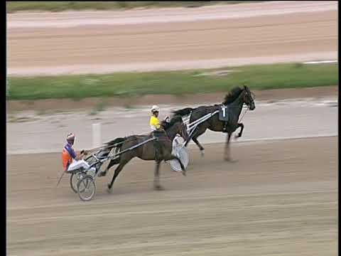 Trotto 07/06/2018 - 2ª prova di qualifica