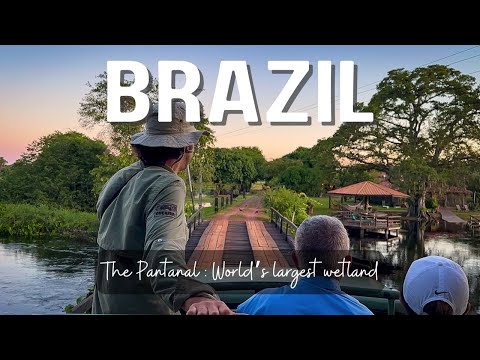Brazilian Pantanal | Safari in the world's largest wetland!