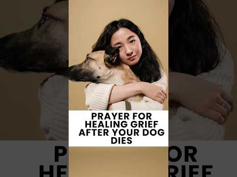 Prayer for Healing Grief After Your Dog Dies | Comfort for Pet Loss 🙏#petloss #dogshorts