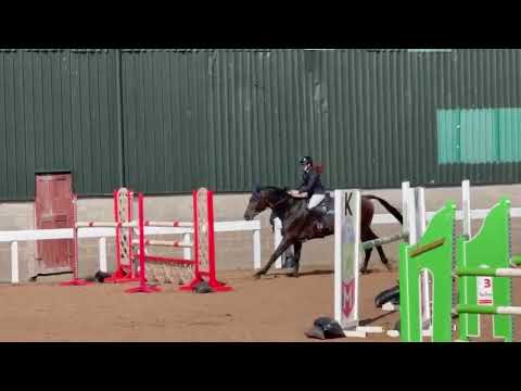 show video 3