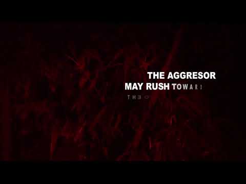 Fighting Behaviour - The complete ethogram of the slow loris - The Little Fireface Project