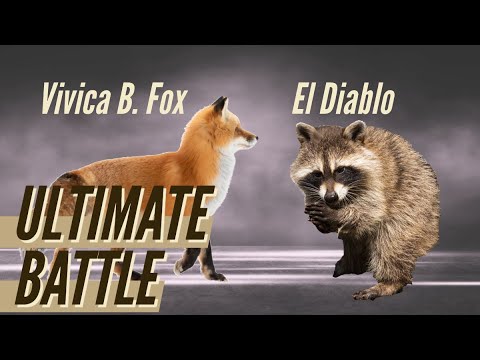 Case File No. 22-386: Vivica B. Fox vs El Diable the Raccoon