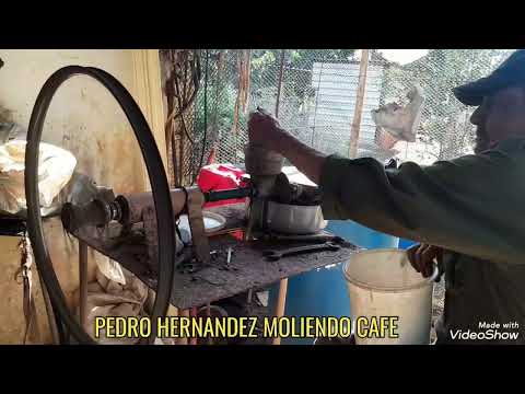 PEDRO HERNANDEZ DESDE SU FINCA EN SAN JOSE DE LAS LAJAS MAYABEQUE 