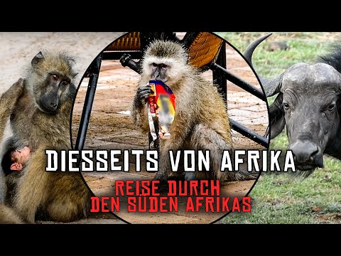 Diesseits von Afrika - Reise durch das südliche Afrika Teil 15/17