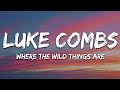Luke Combs - Where the Wild Things Are (Lyrics)