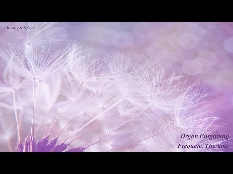 Organ Entgiftung Frequenz Therapie - Reinigung der Leber, Nieren, Lymphe und des Darms