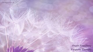 Organ Entgiftung Frequenz Therapie - Reinigung der Leber, Nieren, Lymphe und des Darms