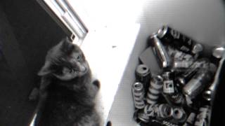 MUUY BIIEN   -   "Another Chore"  (2016)