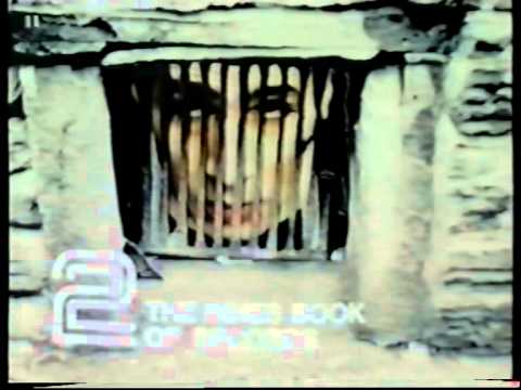 BBC2 Continuity - 12th October 1981