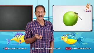Standard 3 | Environmental Study | Class – 04