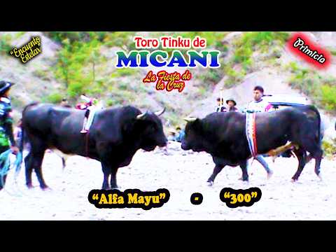 Fiesta de la Cruz de MICANI 2026 T7 "Alfa Mayu-300".(Video Oficial) de ALPRO BO.