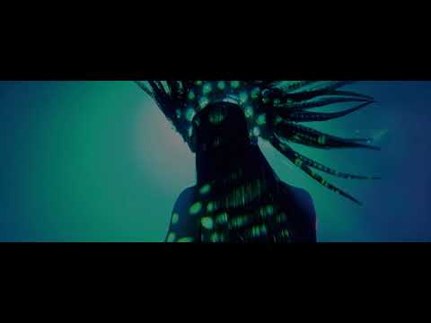 Matrix 365 Berlin - Party Every Night (2021)