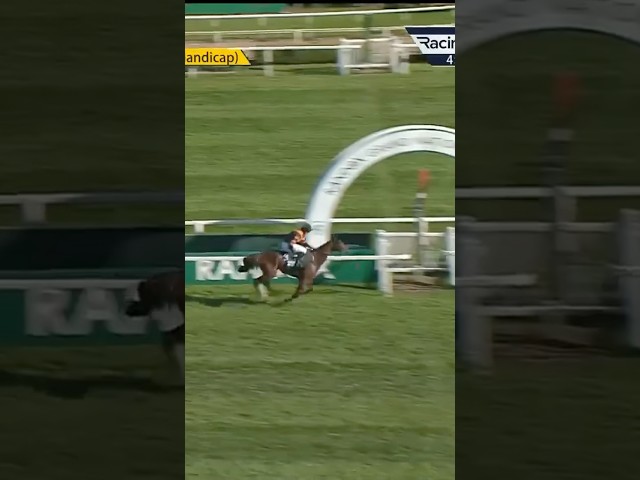 Thumbnail for Post ID: uZay8qkOrZU