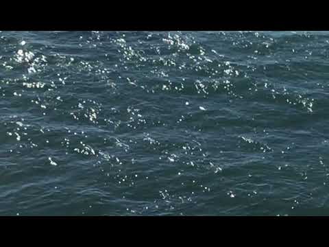 Bay Ledges - Road Trip Mix (Official Visualizer)