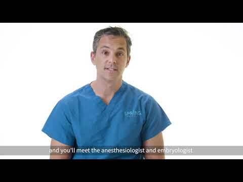 Egg Retrieval:  What to Expect