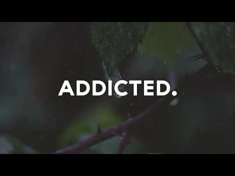 Gustavo Mota + Tiago Rosa & Zeckø feat. Mogli - Toccata