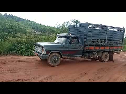 19 de janeiro de 2023