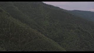 Piqued Jacks - Eternal Ride of a Heartful Mind [Trailer]