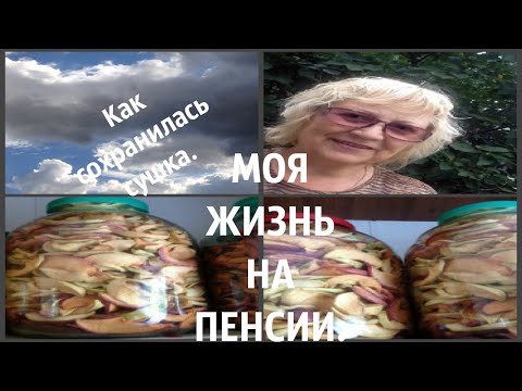 Мои сушки в банке через год  Как сохранились .