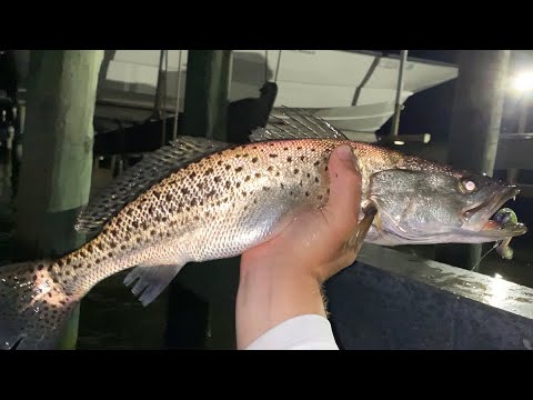 How To Catch Speckled Trout Under Docks (Fall Trout Fishing Tip)