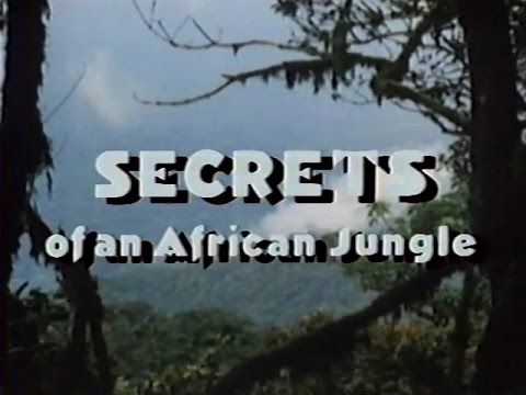 Secrets of an African Jungle (1986)